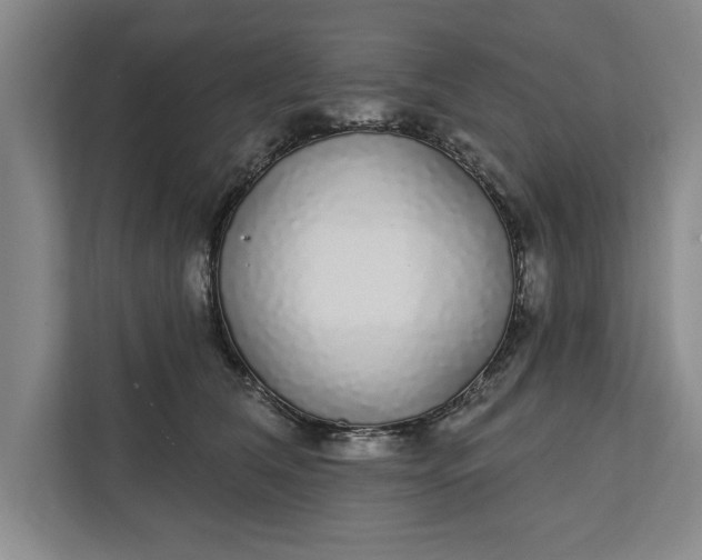 X0000112360612200908271254