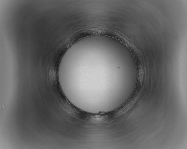 X0000112360613200908271254