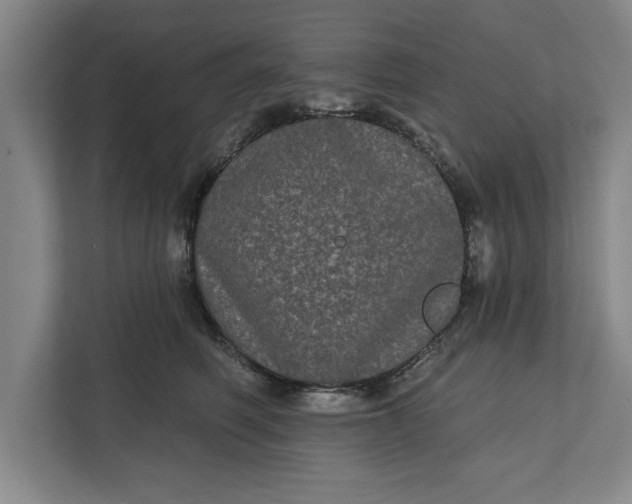 X0000112360614200908271254