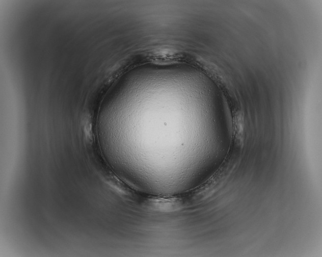 X0000112360615200908271254