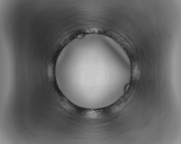 X0000112360616200908271254