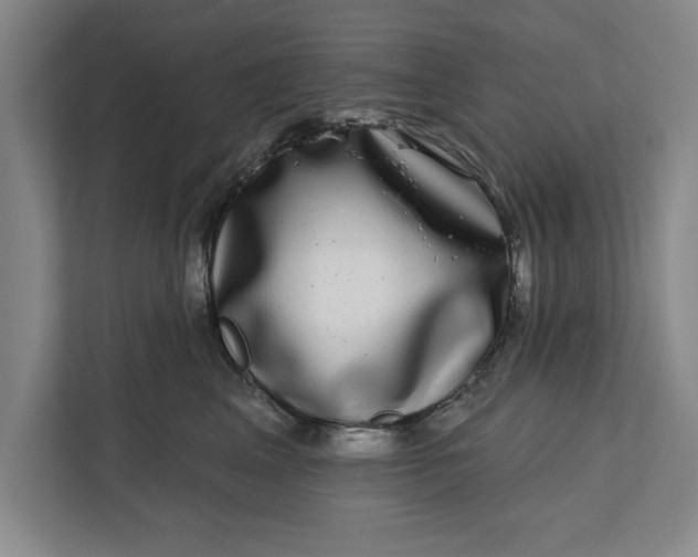 X0000112360617200908271254