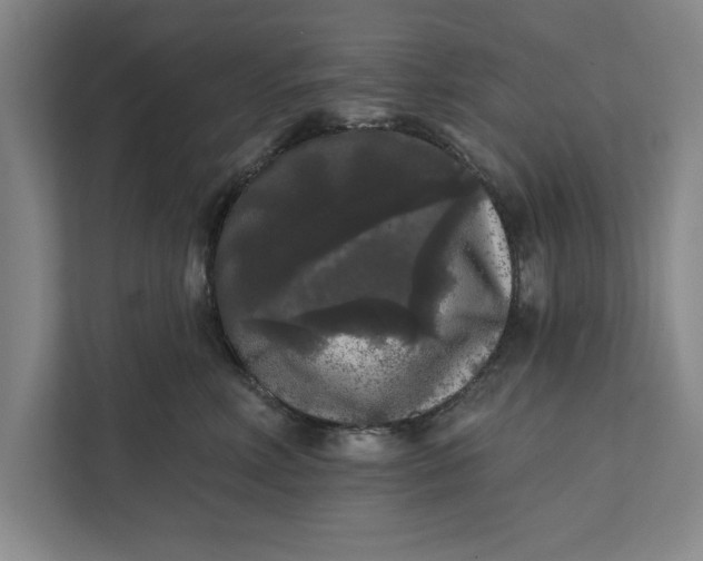 X0000112360618200908271254