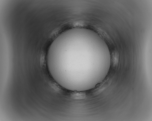 X0000112360619200908271254