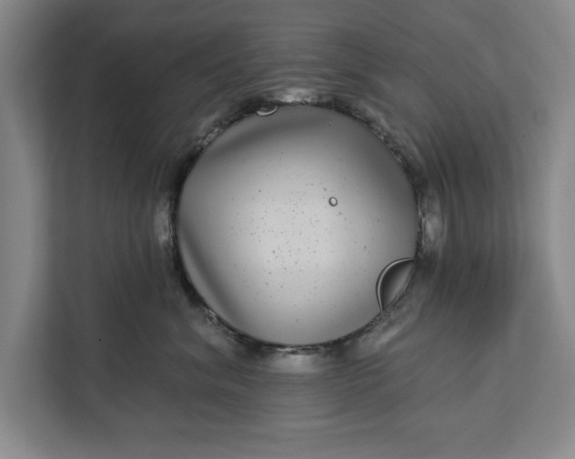 X0000112360620200908271254