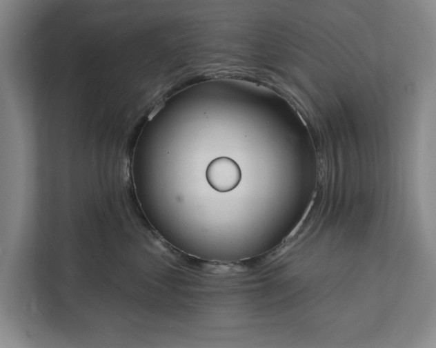 X0000112360621200908271254