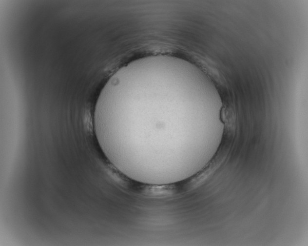 X0000112360622200908271254