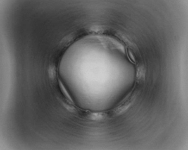 X0000112360623200908271254