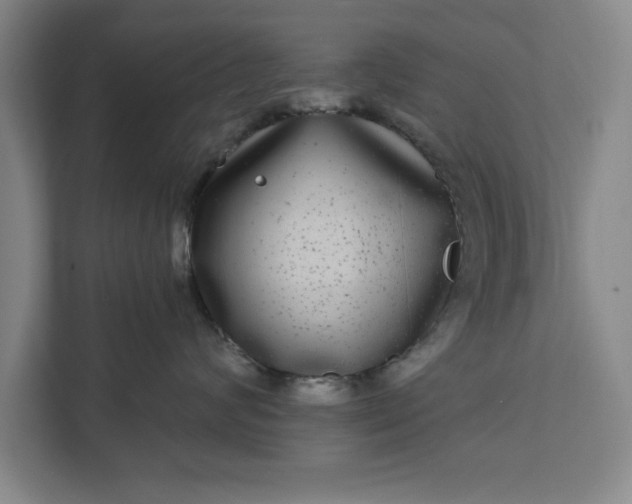 X0000112360624200908271254