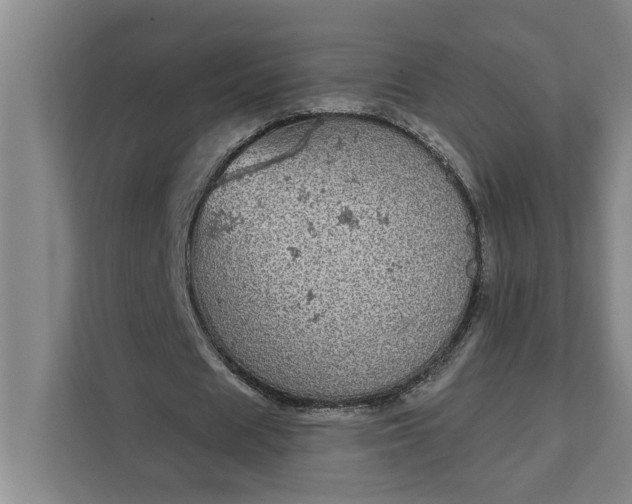 X0000112360625200908271254