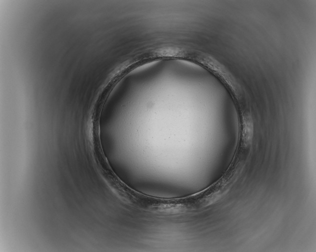 X0000112360626200908271254