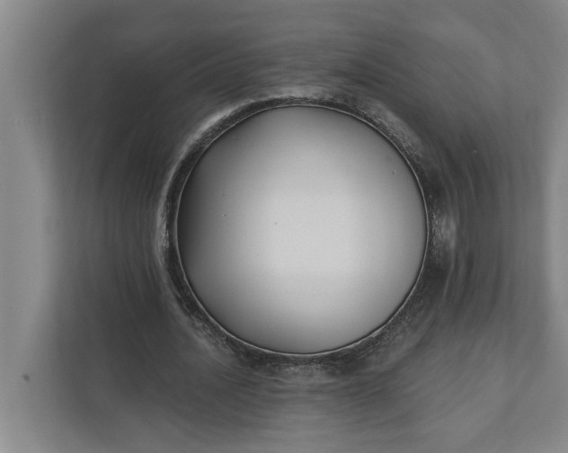 X0000112360628200908271254