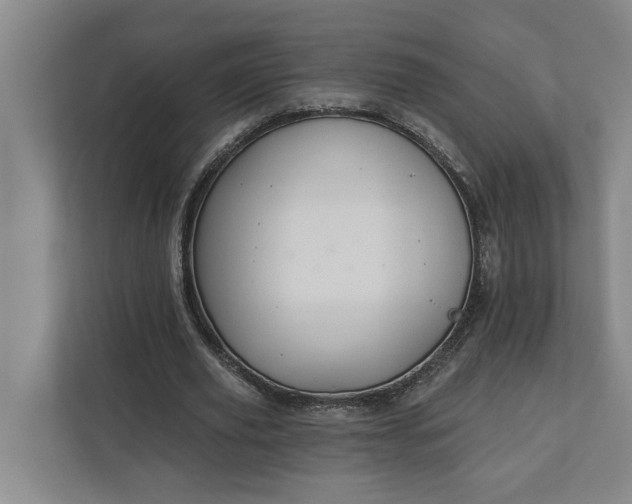 X0000112360629200908271254