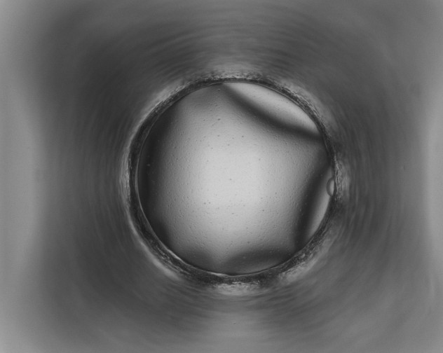 X0000112360630200908271254