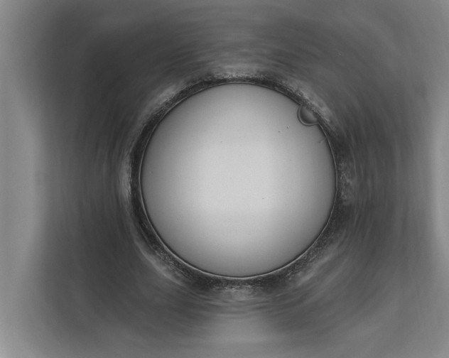 X0000112360631200908271254