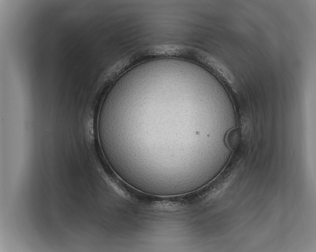 X0000112360633200908271254