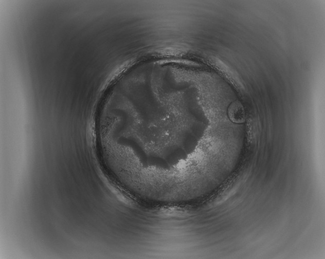 X0000112360634200908271254