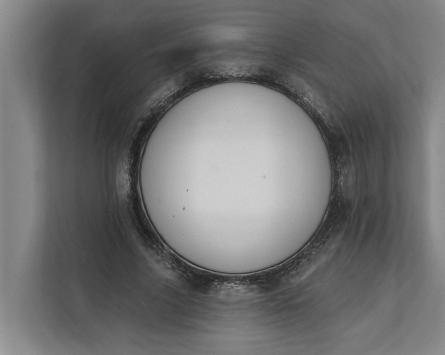 X0000112360635200908271254