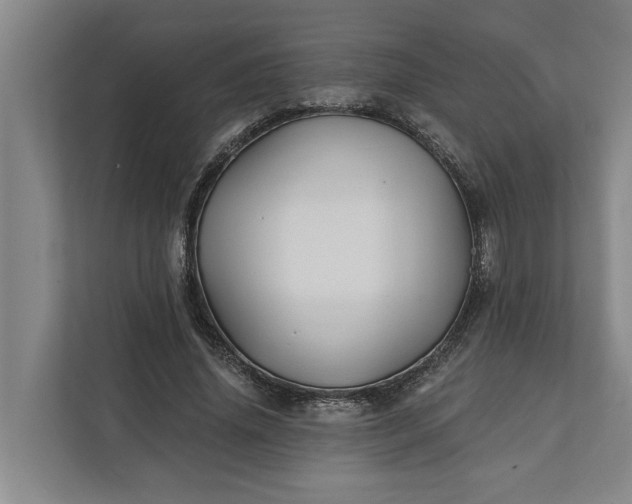 X0000112360636200908271254