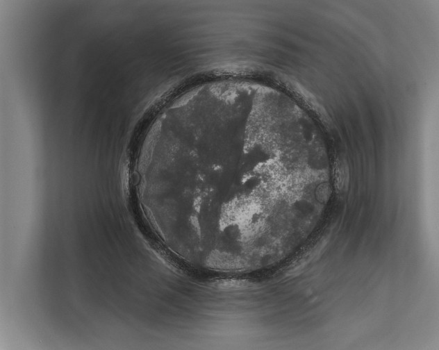 X0000112360637200908271254