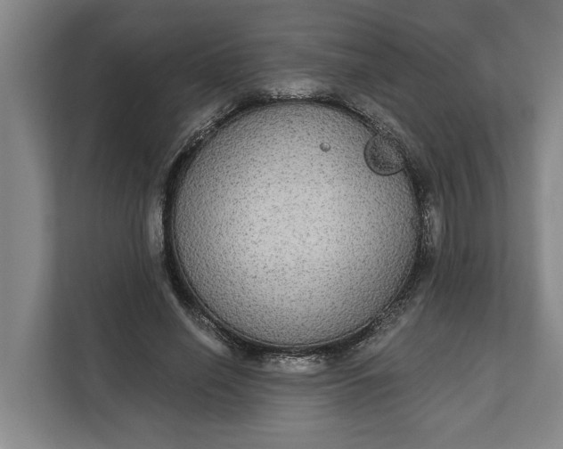 X0000112360638200908271254