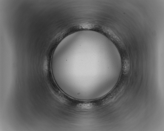 X0000112360639200908271254