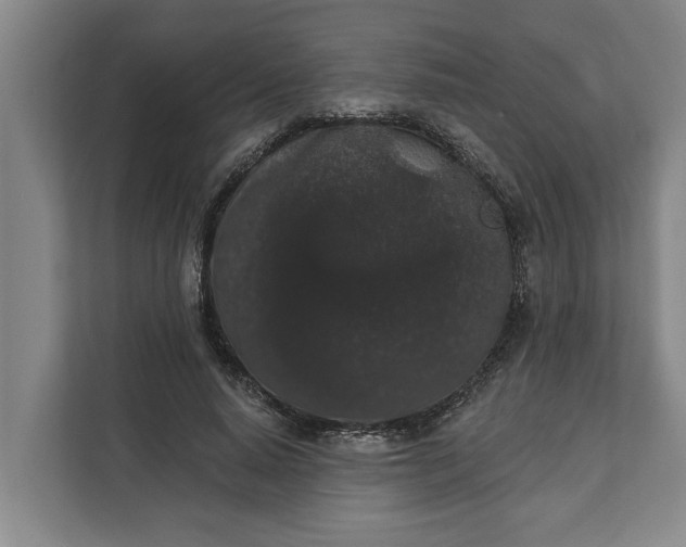 X0000112360640200908271254