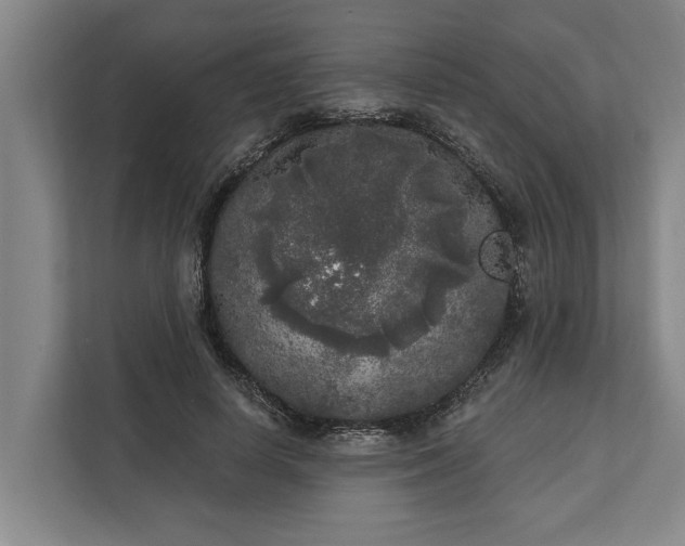 X0000112360642200908271254