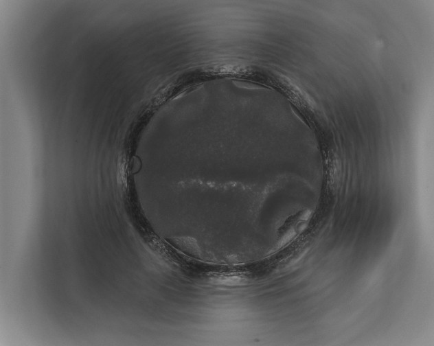 X0000112360643200908271254