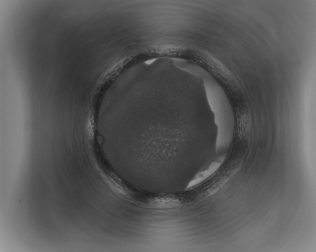 X0000112360644200908271254