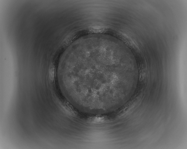 X0000112360647200908271254