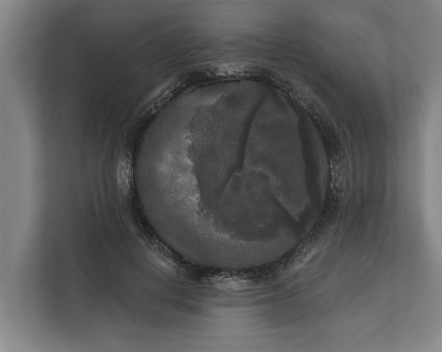 X0000112360648200908271254