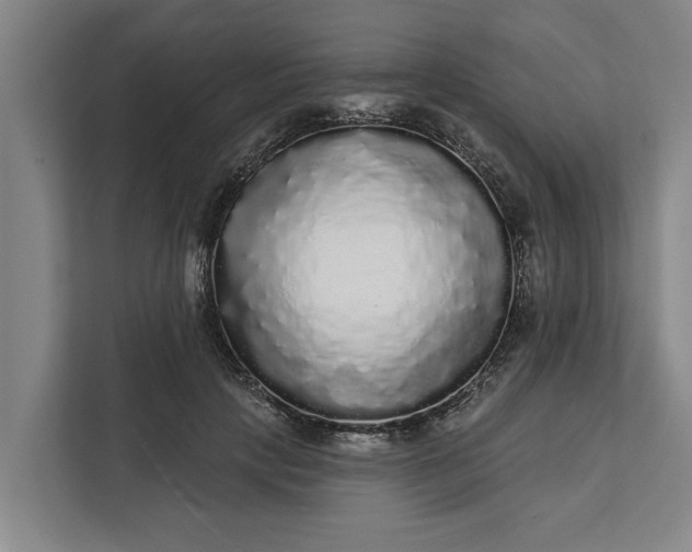 X0000112360649200908271254