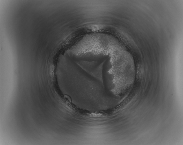 X0000112360650200908271254