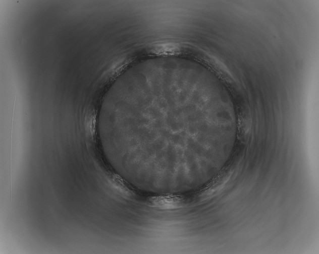 X0000112360652200908271254