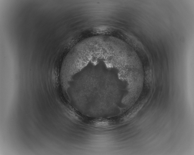 X0000112360653200908271254