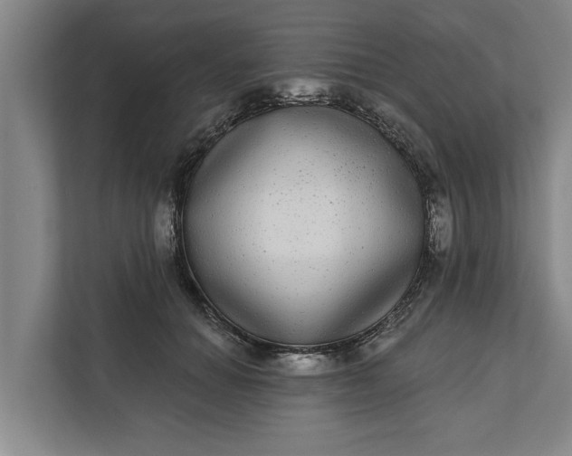 X0000112360654200908271254