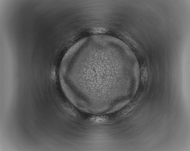 X0000112360655200908271254