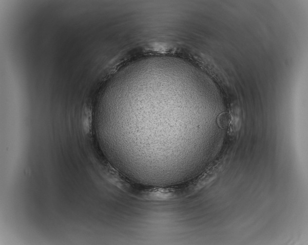 X0000112360656200908271254