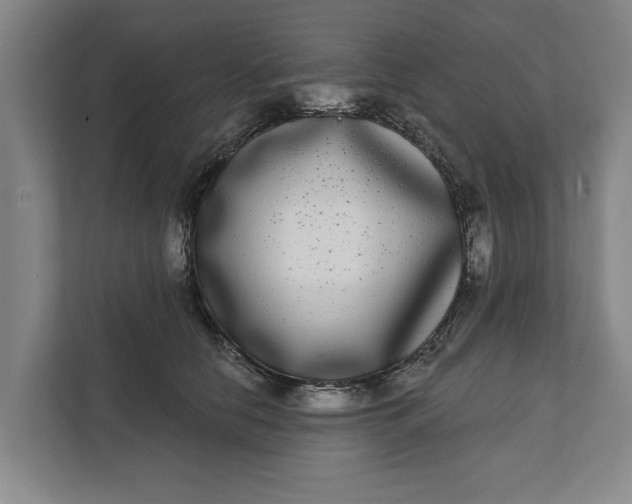 X0000112360658200908271254