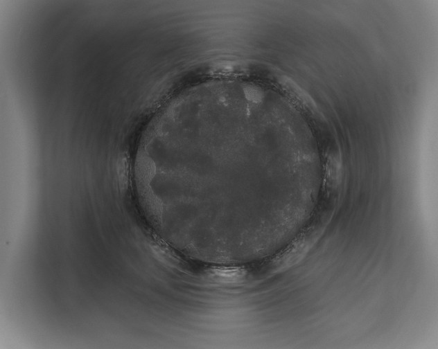 X0000112360659200908271254