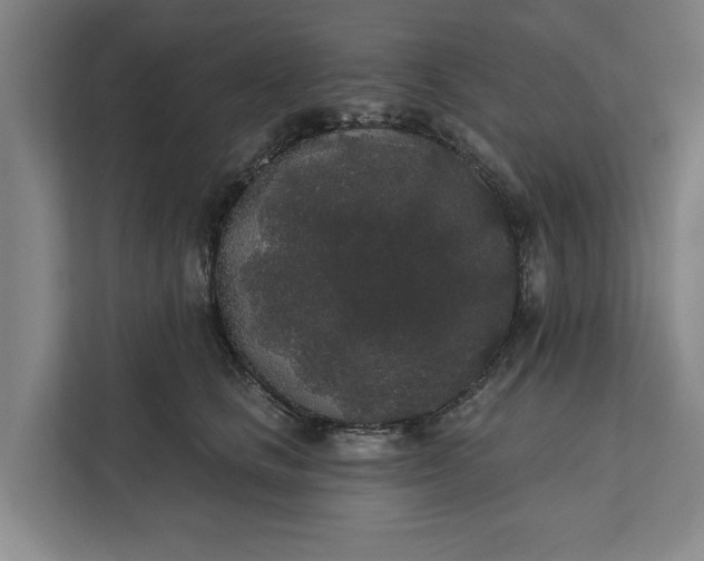 X0000112360661200908271254