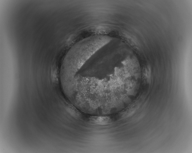 X0000112360663200908271254