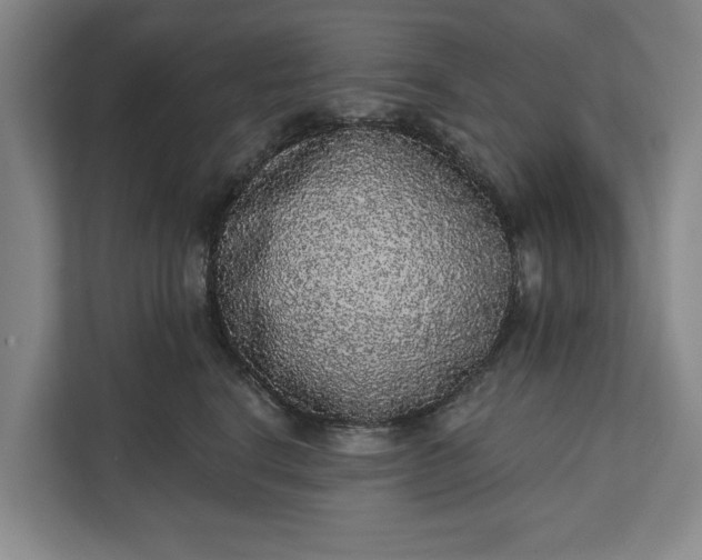 X0000112360664200908271254