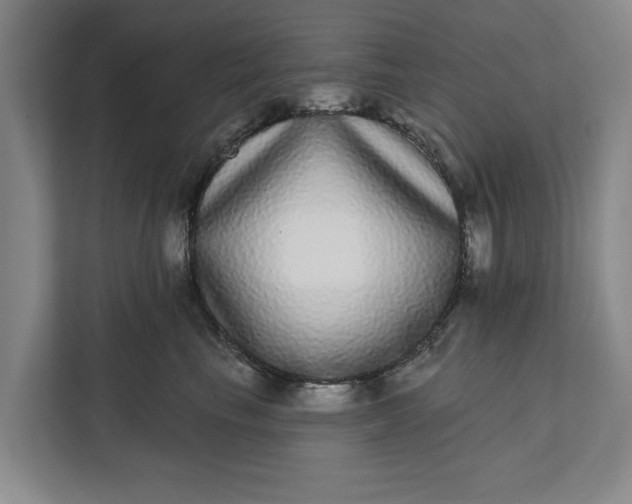 X0000112360665200908271254