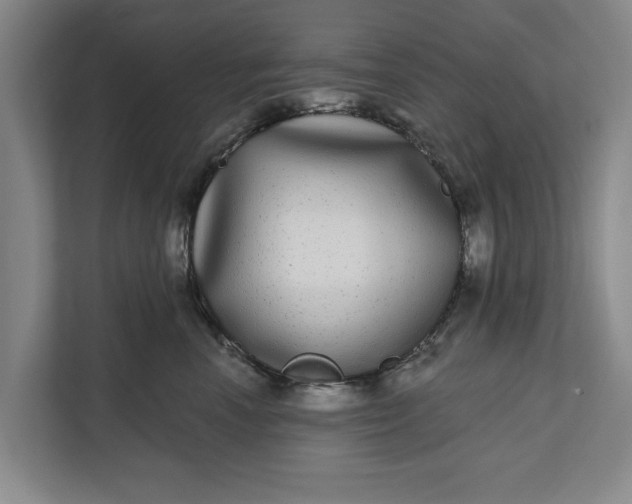 X0000112360666200908271254