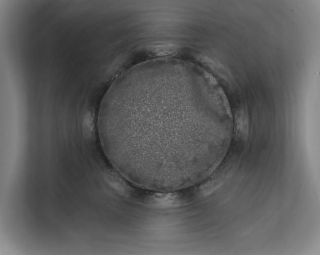 X0000112360667200908271254