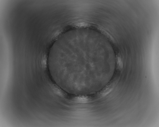 X0000112360668200908271254