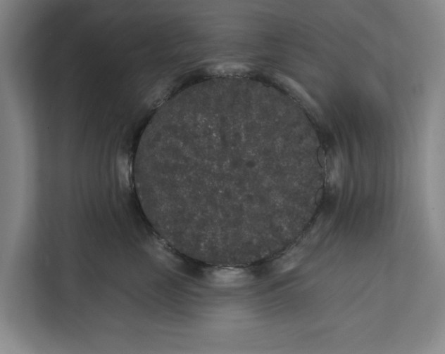 X0000112360669200908271254