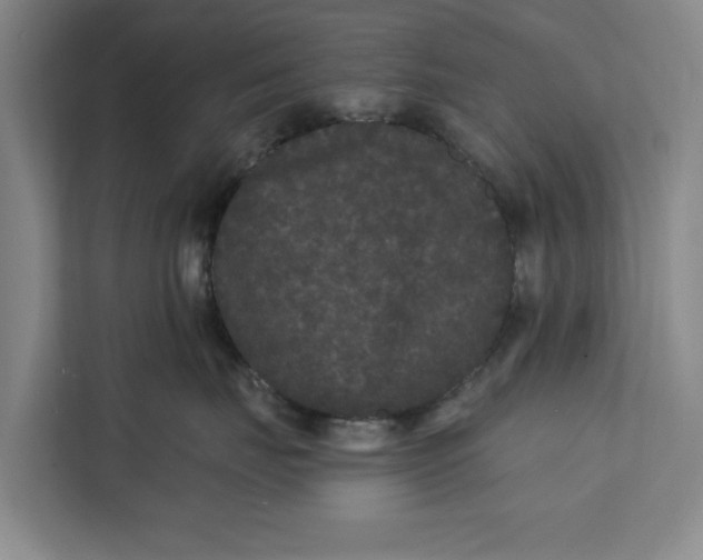 X0000112360671200908271254